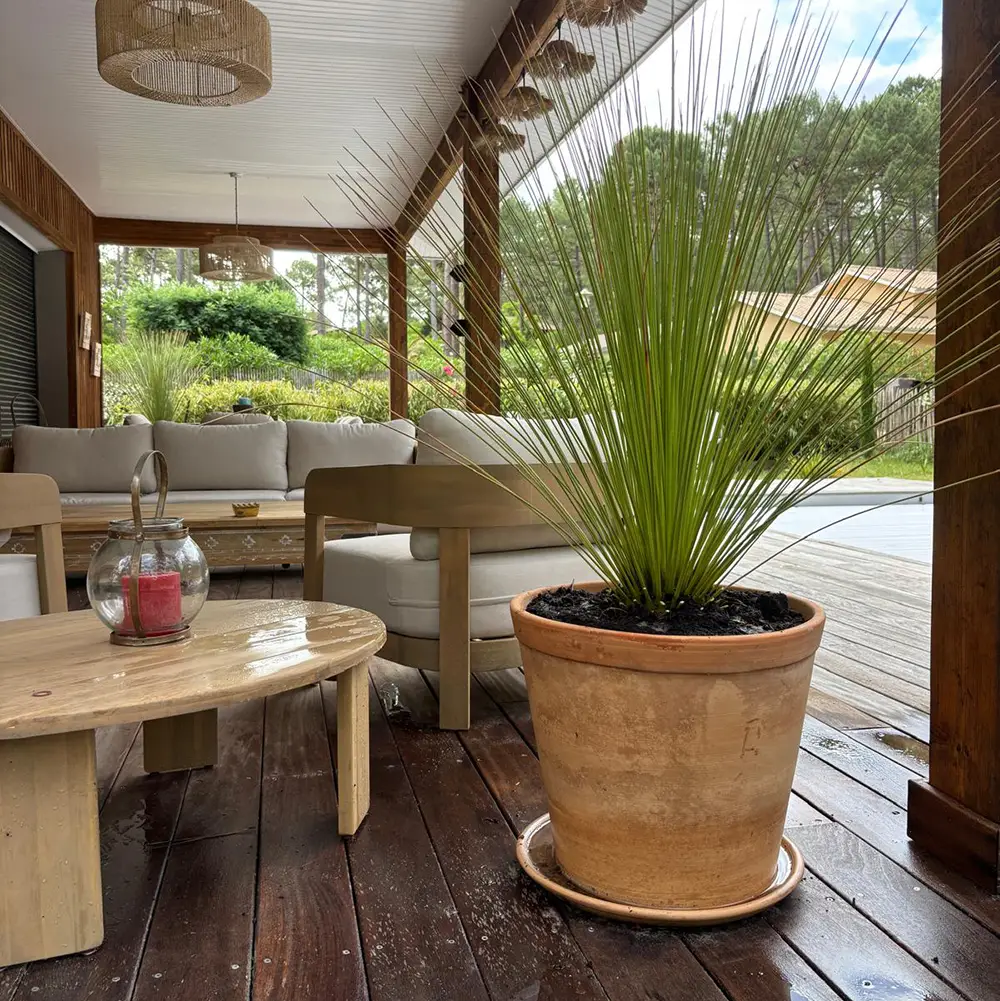 Réalisation - Garden Paysage 33 : Paysagiste Bordeaux, Médoc, Côte Atlantique