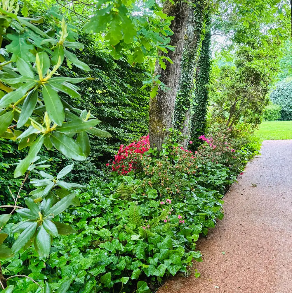 Réalisation - Garden Paysage 33 : Paysagiste Bordeaux, Médoc, Côte Atlantique