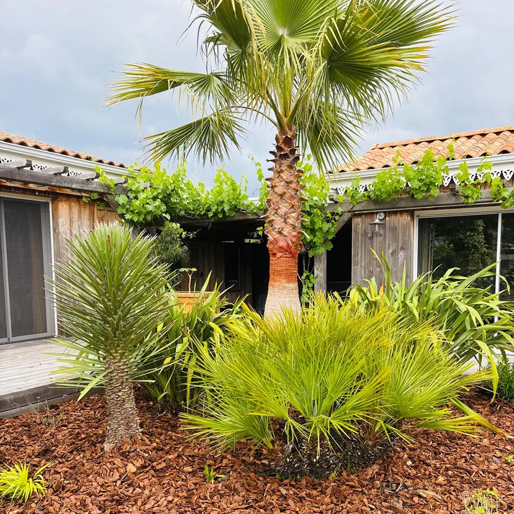 Réalisation - Garden Paysage 33 : Paysagiste Bordeaux, Médoc, Côte Atlantique