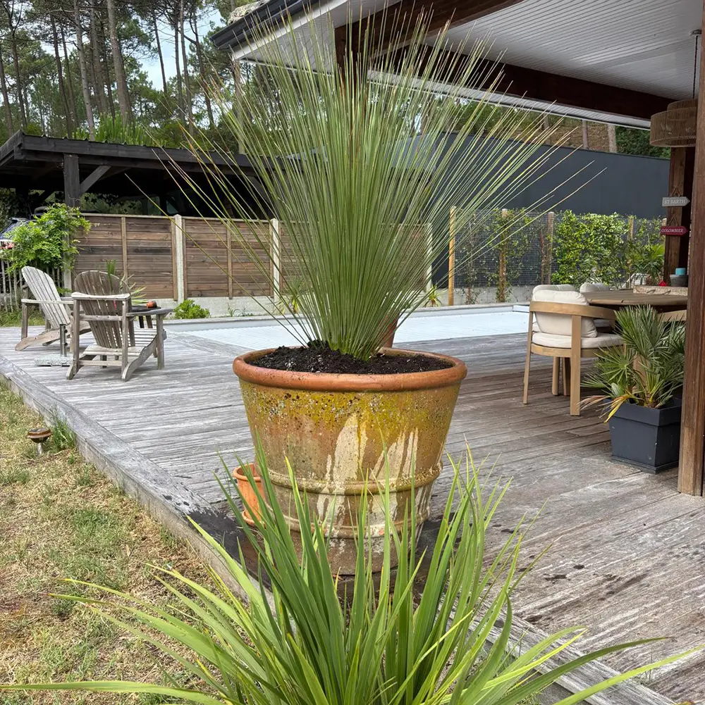 Réalisation - Garden Paysage 33 : Paysagiste Bordeaux, Médoc, Côte Atlantique