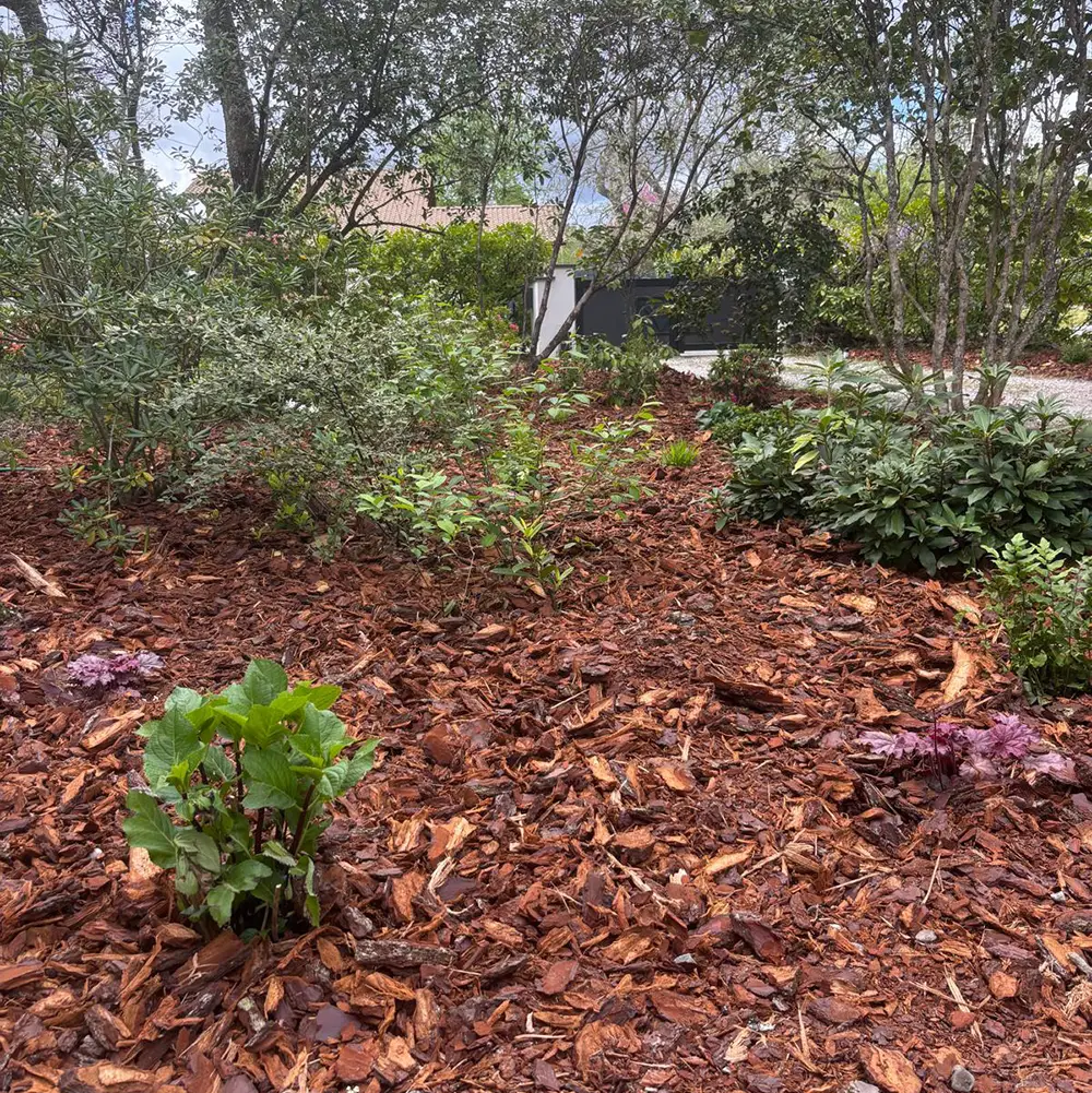 Réalisation - Garden Paysage 33 : Paysagiste Bordeaux, Médoc, Côte Atlantique