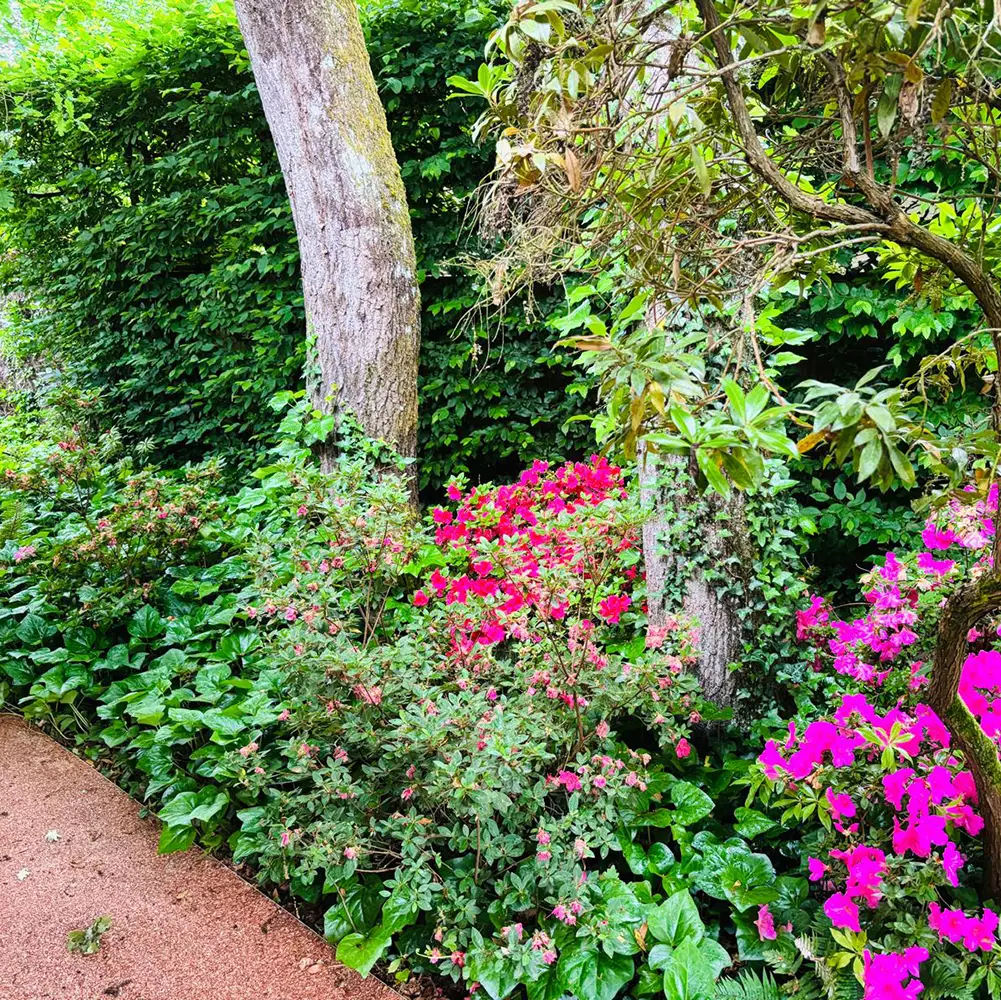 Réalisation - Garden Paysage 33 : Paysagiste Bordeaux, Médoc, Côte Atlantique
