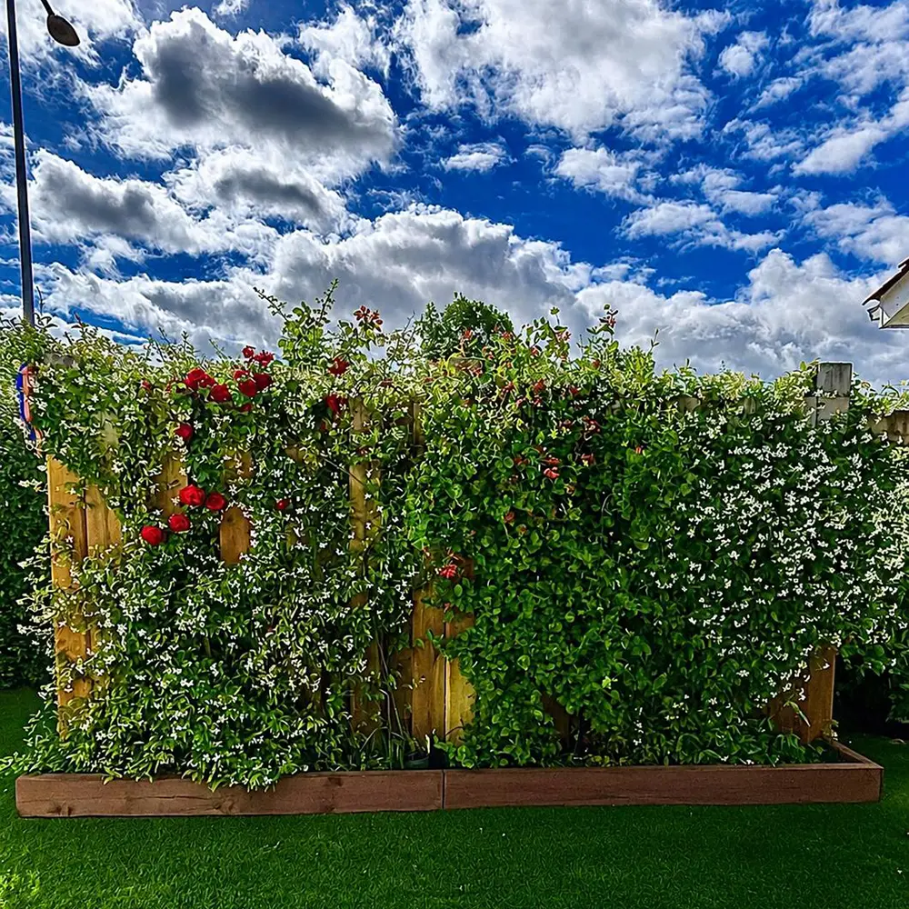 Réalisation - Garden Paysage 33 : Paysagiste Bordeaux, Médoc, Côte Atlantique